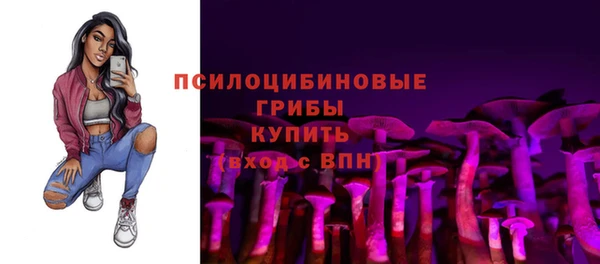 ПСИЛОЦИБИНОВЫЕ ГРИБЫ Алзамай