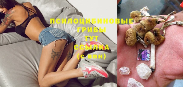 ПСИЛОЦИБИНОВЫЕ ГРИБЫ Алзамай