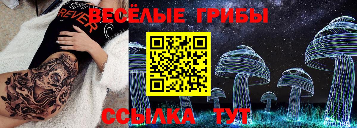 Псилоцибиновые грибы прущие грибы Старая Русса