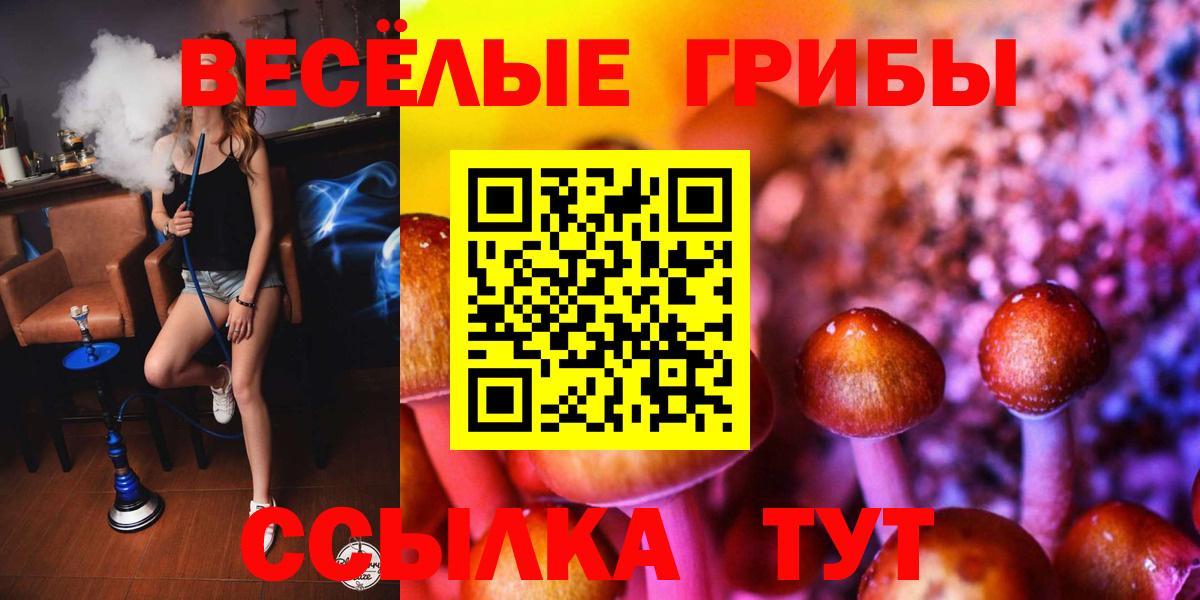 Галлюциногенные грибы Magic Shrooms  Вход с VPN  Псилоцибиновые грибы мухоморы  Старая Русса 